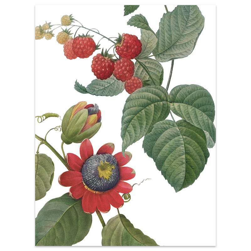 Fruit Love 2 Linen Tea Towel Fruit Love 2 linen tea towel by The Napking with red raspberries, a large red flower and green leaves on a light background.