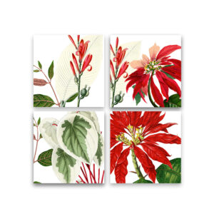 Set of 4 Napkins Poinsettia