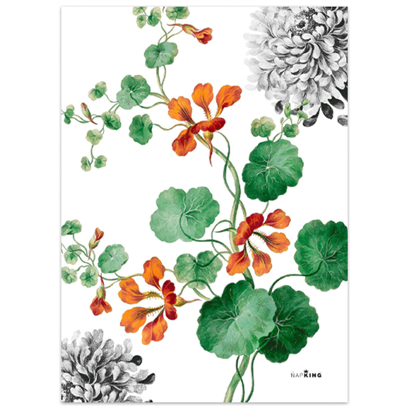 tea-towel-edward-2-la-bottega-di-casa.gif Tea Towel Edward 2