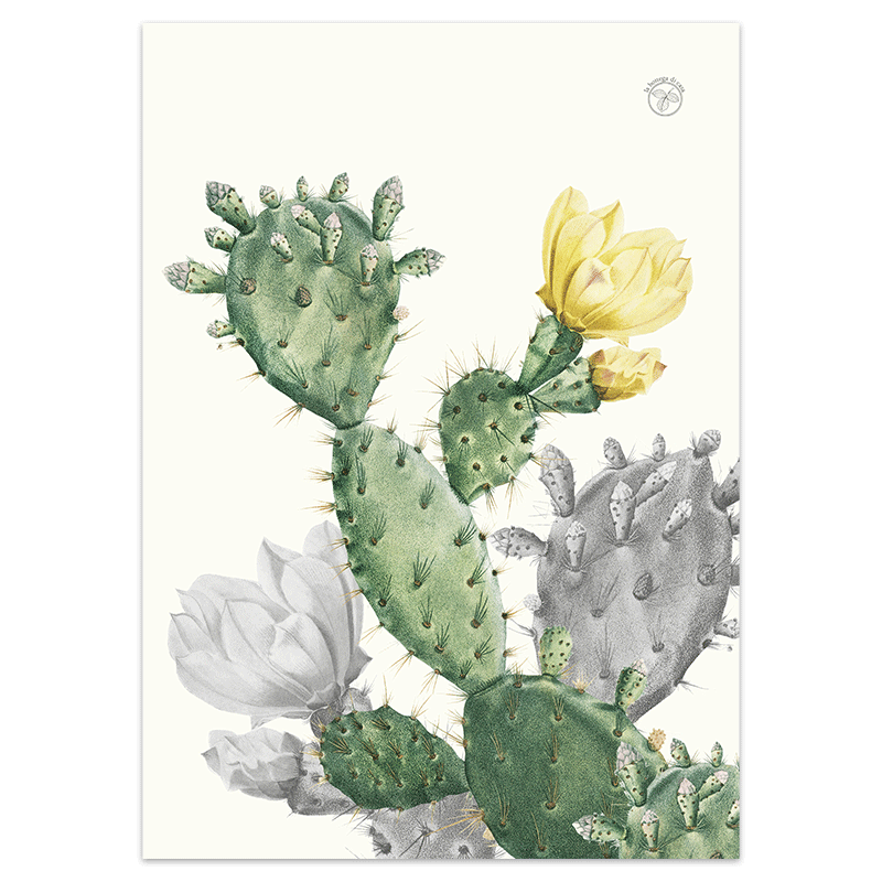 strofinaccio-cactus-6-la-bottega-di-casa Strofinaccio Cactus 6 in puro lino con pale verdi di fico d’India, grande fiore giallo chiaro e dettagli botanici grigio grafite.
