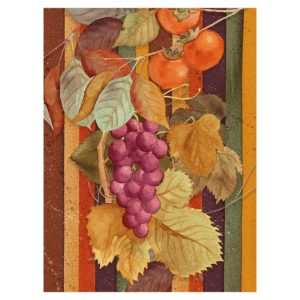 strofinaccio con grappoli d'uva